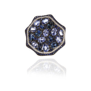 The Palette Ring